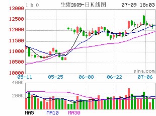 猪价快速反弹：时隔三个月重新站上每公斤10元，下半年走势如何